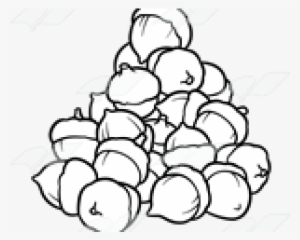 Acorn Clipart Pile - Line Art