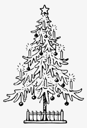 Medium Image - Christmas Tree Images Outline