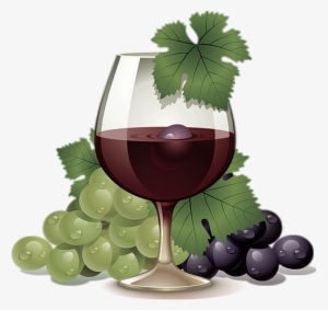 Grapes Vector