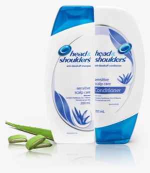 I've Now Been Using This For About 10 Days The Reason - Head & Shoulders Sensitive Scalp Care