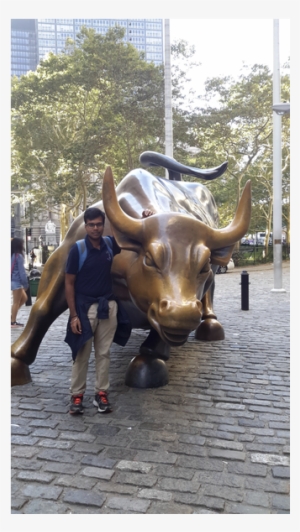 Jyotheeswar Arvind Manickavasagar's Software Portfolio - Charging Bull