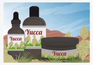 Yucca Scene And Yucca Medicine Extract Of Vector - Euclidean Vector