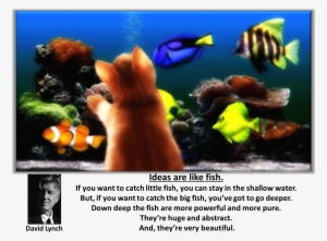 Ideas Are Like Fish - Aquarium