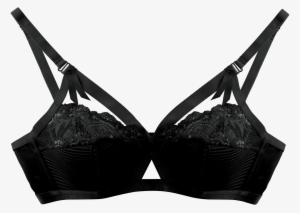 Reveal Your Inner Seductress With The Dita Von Teese - Bra