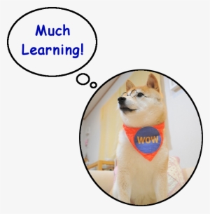 Doge Learning - Learning