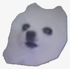 Related Wallpapers Roblox Gabe The Dog Transparent Png 420x420 Free Download On Nicepng - dog face roblox
