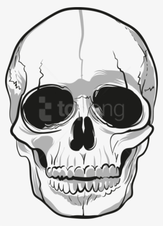 Skull Png, Download Png Image With Transparent Background, - Skull Png