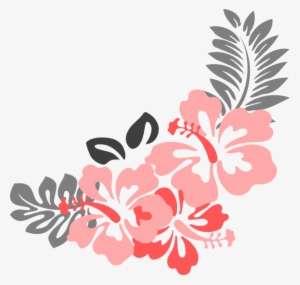 Hibiscus Flower Png Border - Coral Flowers Clip Art