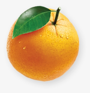 Orange Freshness Which Rejuvenates - Juice