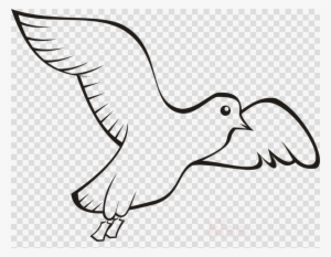 Bird Clipart Homing Pigeon English Carrier Pigeon Pigeons - Penguin Transparent Drawing