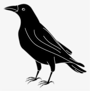 Png Free Stock Index Of - Crow Svg