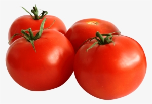 Free Png Tomato Png Images Transparent - Tomato Tropic