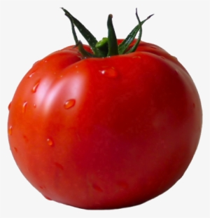Tomato Png Images - Transparent Background Tomato Clipart