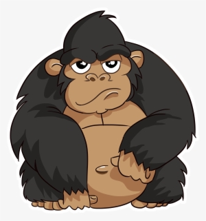 Gorilla - Common Chimpanzee