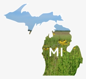 Mi Tallgrass Mix - State Of Michigan