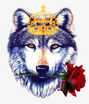 Amazing Wolf Head Tattoo Design Sample