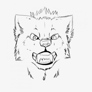 How To Draw An Wolf Head A Front View - Snout Drawing Wolf