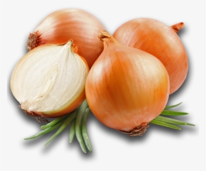 Onion - Onion That Makes You Cry