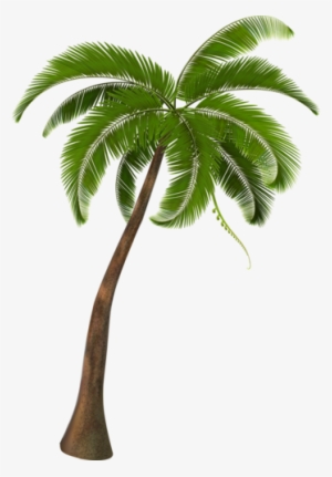 Palm Tree Clip Art, Palm Tree Images, Palm Sunday,