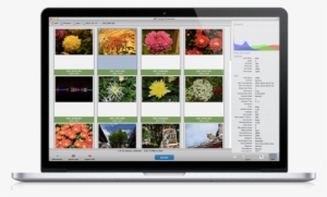 Mac Image Converter And Batch Photo Resizer, Convert - Flat Panel Display