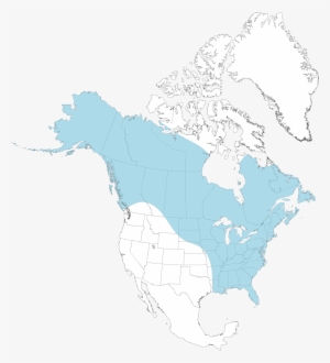 Mink Map - Nunavut: A Health System Profile