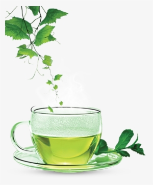 Green Tea Png Clipart - Cup Of Green Tea Quotes