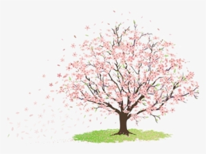 Image Tree Of Cherry Blossom 2-sepng Cityville Wiki - Immagini Albero Di Ciliegio