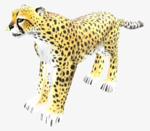 Download Zip Archive - Cheetah