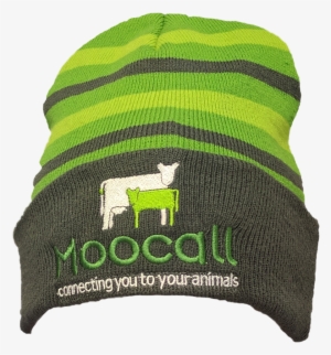 Beanie V=1505492083 - Beanie