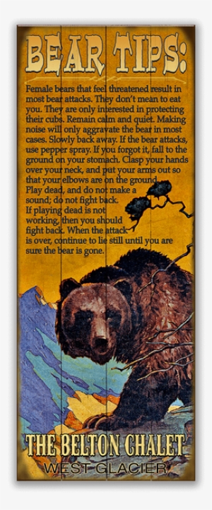 Bear Tips - Bear Tips Sign