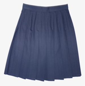 Navy Sewn Down Pleated Skirt - Miniskirt