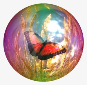 Beaux Papillions - Bolle Di Sapone E Farfalle