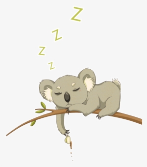 Drawn Koala Transparent - Cute Koala Drawing