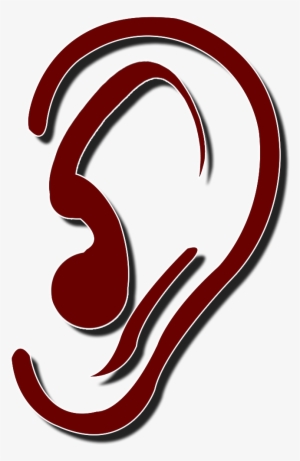 Ear Microsurgery - Ear