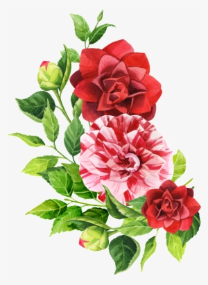 Pintado A Mano De Tres Flores Png Transparente De Png - Flower