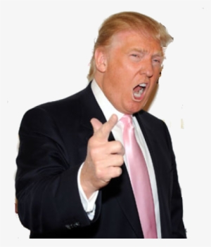 Donald Trump Png, Download Png Image With Transparent - Asap Rocky Donald Trump
