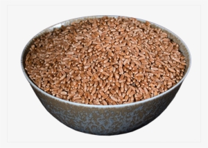 Wheat Berries, Hard Red - Lundberg Family Farms