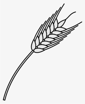 Open - Wheat Heraldry Png