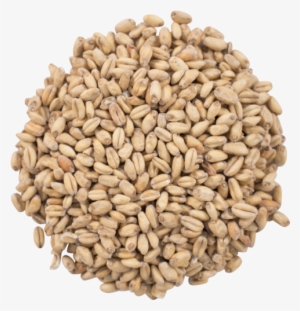 Great Western White Wheat Malt - Organic Grains