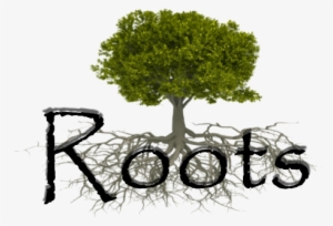 The Roots Seminars Are Saturday Classes That Cover - Oak