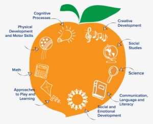 Peach Diagram
