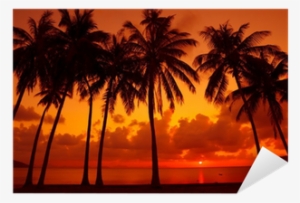 Palm Trees Silhouette On Tropical Beach At Warm Sunset - Sunset