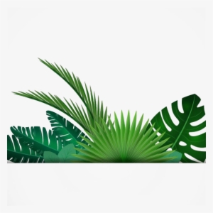 Leaf Tropics Clip - Transparent Background Leaf Border