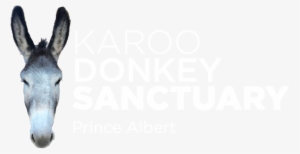 The Karoo Donkey Sanctuary Is A Registered Animal Welfare - Donkey Head Png