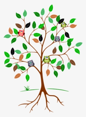 Root Pipe Problems - Owls In A Tree Clipart