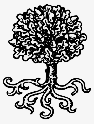 Details, Png - Oak Tree With Roots Heraldry