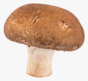 Mushroom Png Transparent Image - Mushroom