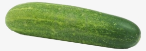 Single Cucumber Images .png