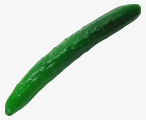 Medium Image - Big Cucumber Png