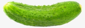 High Definition Cucumber Png Picture Download - Have A Kosher Pickle Wall Calendar